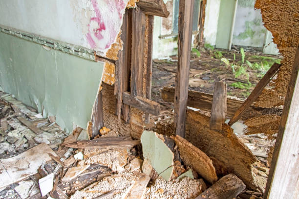 istock Collapsing interior of abandoned building 1323887536