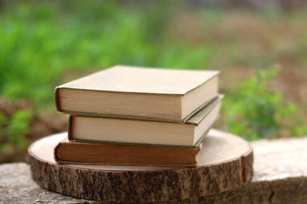 istock Books in a Garden 1323888704