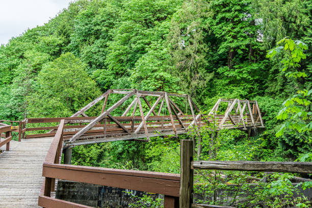 istock Tumwater Falls Park Bridge 1323893178