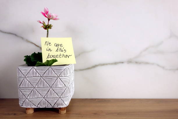 We are in this together note handwritten on sticky note with blossoming flower, help and support during covid-19 pandemic concept