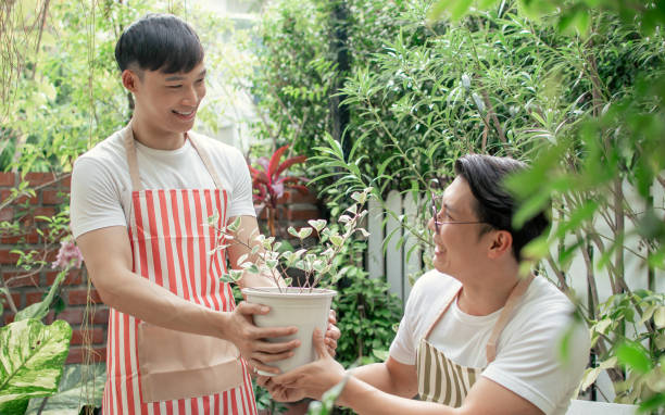 istock Two men taking care plants in garden at home 1323895406