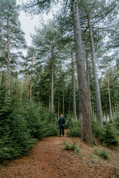 istock Photographer hikes along trail through lush forest 1323900500