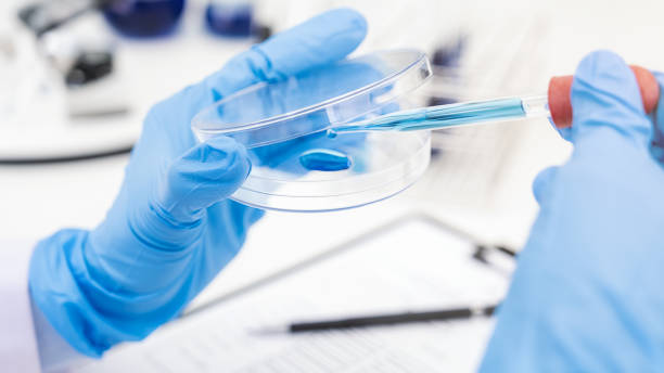 istock Scientist dropping a sample into petri dish with dropper in pharmaceutical research laboratory. Innovation Concept. 1323900620