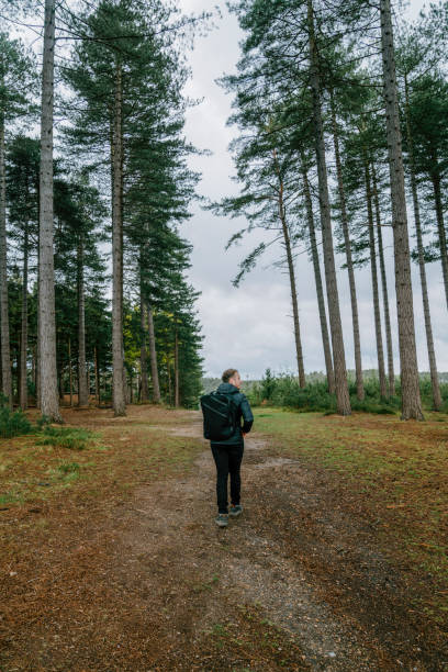 istock Young man hikes along footpath through lush forest 1323900650