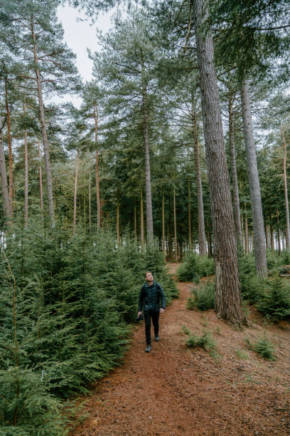 istock Photographer hikes along trail through lush forest 1323900760
