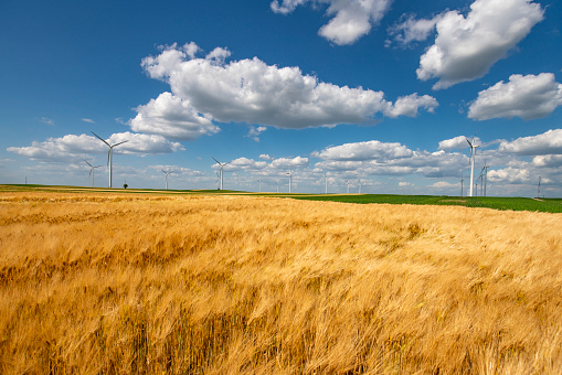 Wind turbines on a beautiful field and blue sky with clouds