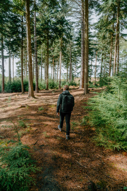 istock Young man hikes along trail through lush forest 1323901067