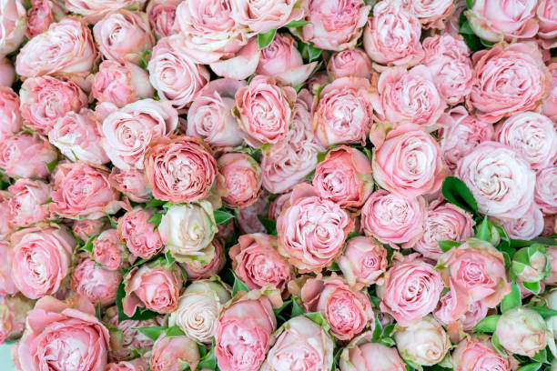 istock Flowers beautiful bouquet. 1323904609