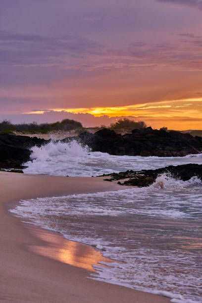 istock Scenic view of sunrise over tropical beach 1323905656
