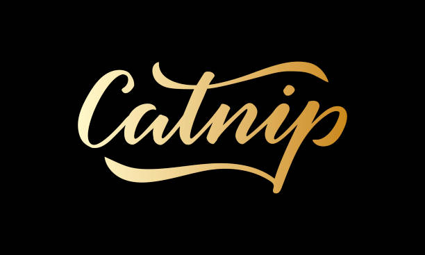 60+ Catnip Drawing Stock Illustrations, Royalty-Free Vector Graphics ...
