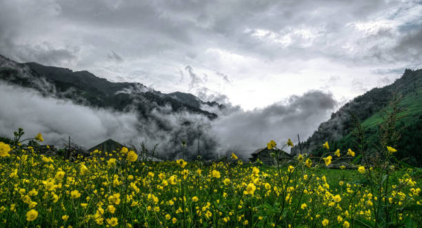 istock Fog in the mountains. Spring scenic landscape in the Caucasus 1323907370
