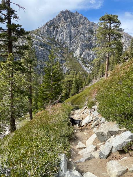 istock Lake Tahoe Landscapes 1323911937