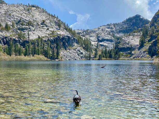 istock Lake Tahoe Landscapes 1323911952