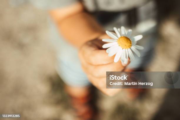 To You Stock Photo - Download Image Now - Gratitude, Flower, Child