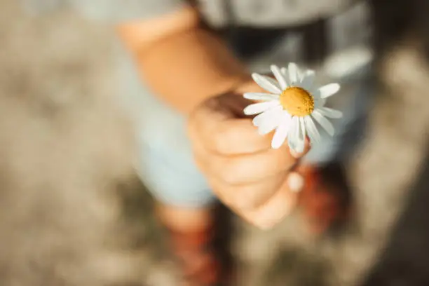 A child proudly gives away his self-picked flower.