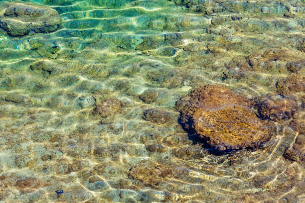 Very clean waters at Alanya