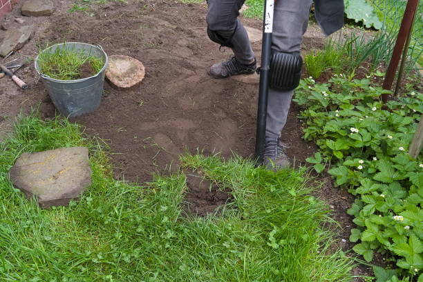 istock A person excavates grass in the garden using a shovel 1323914687