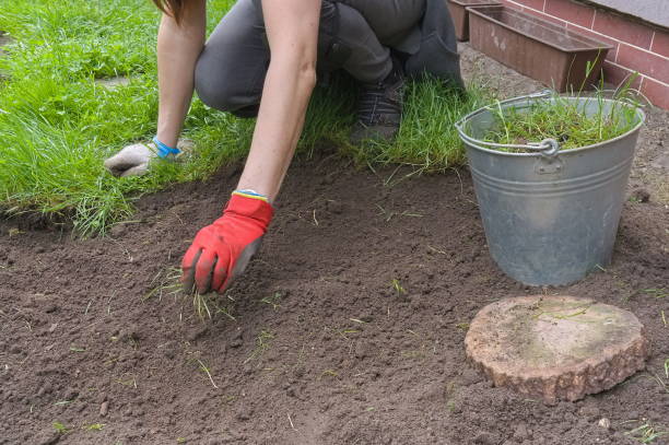 istock Work in the garden - soil cleaning from unnecessary plants 1323914692