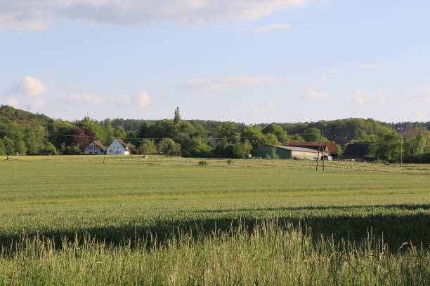 istock Evening mood in the Sauerland 1323915659