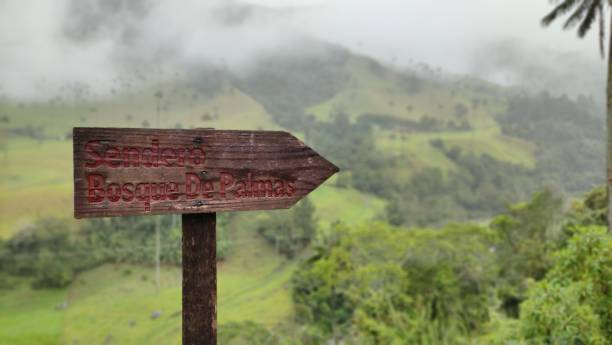 istock Road sign on the mountain 1323918773
