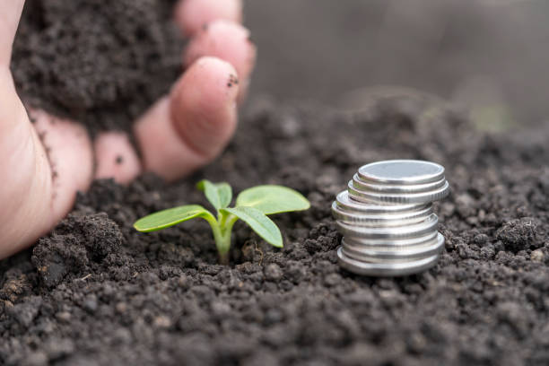 Silver coins with green leaves and soil, financial growth concept