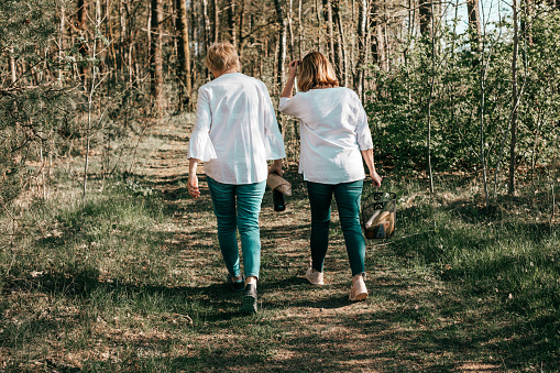 Two female friends mature are walking through the forest, rear view. Active lifestyle, hobby