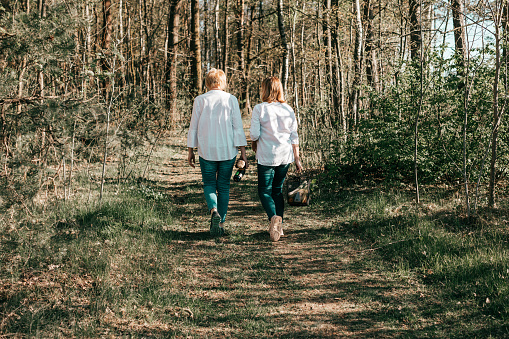 Two female friends mature are walking through the forest, rear view. Active lifestyle, hobby