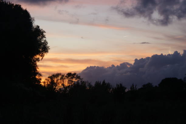 istock Sunset in nature with gold 1323926638