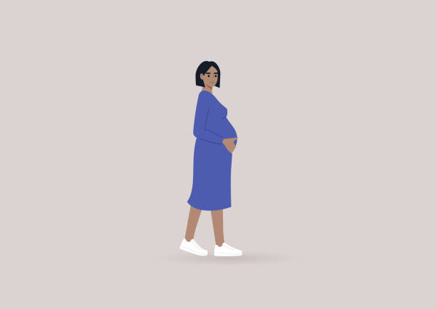 A young pregnant woman wearing a simple blue dress and white sneakers, modern lifestyle A young pregnant woman wearing a simple blue dress and white sneakers, modern lifestyle hispanic family stock illustrations