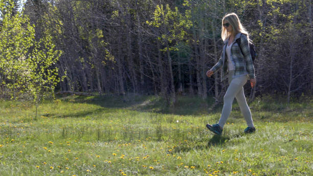 istock Young woman hikes through forested meadow 1323928345