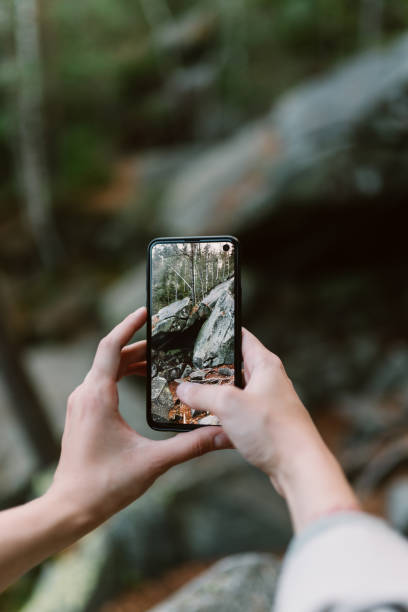 istock Female hands taking a picture of the forest 1323928372