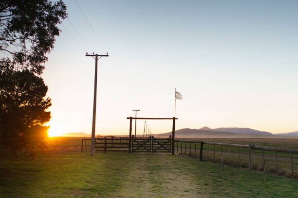 Argentine rural landscape with an old flag flying at a gate