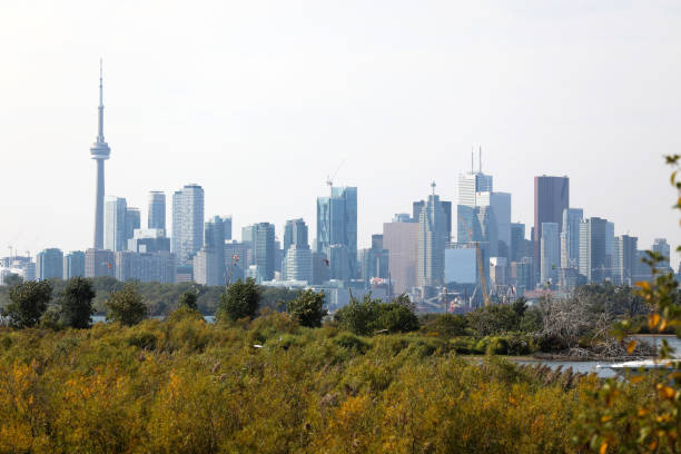 Toronto skyline seen from Polson pier at night in summer, Canada