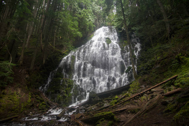 istock Ramona falls side angle to the right forest green oregon 1323935060