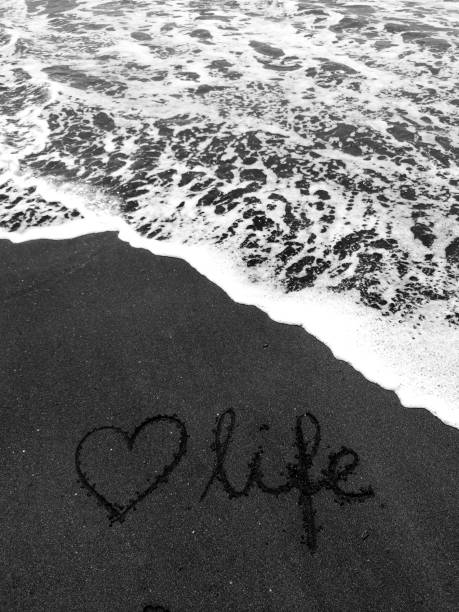 istock Nature Background / focused nature, black sand beach with waves 1323935849