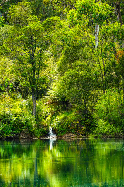 This January 2021 daylight photo shows the Riuwaka Resurgence (alternate spelling: Riwaka Resurgence) in Kahurangi National Park. The underground river emerges here from Takaka Hill.
