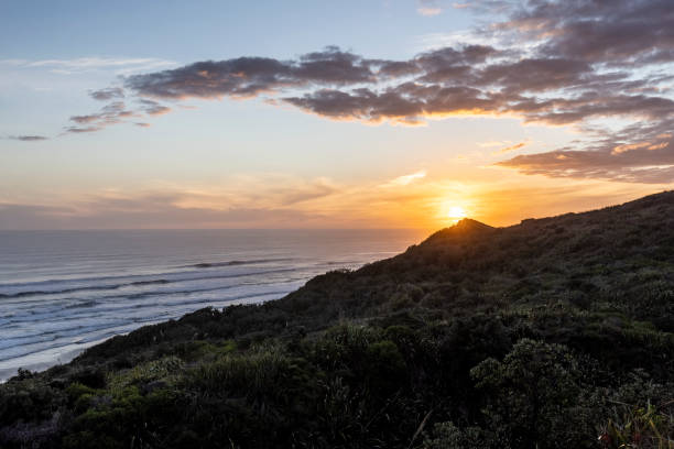istock Bayleys Beach, Northland, NZ 1323942808