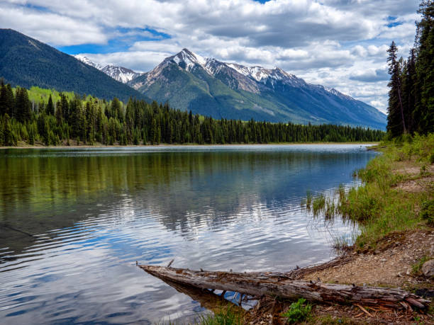 istock Trunk of a dead tree extends into a clear mountain lake 1323948122