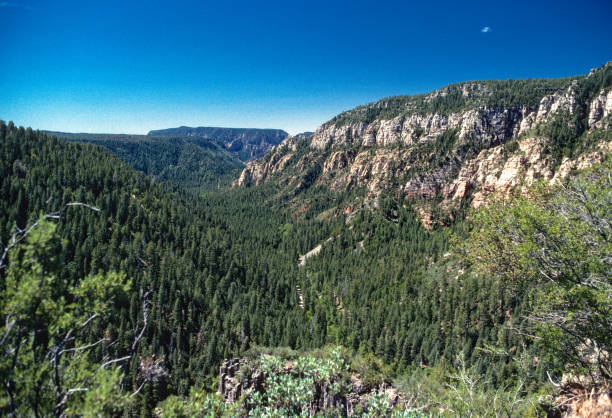 Arizona - Oak Creek Canyon - 2001. Scanned from Kodachrome 25 slide.