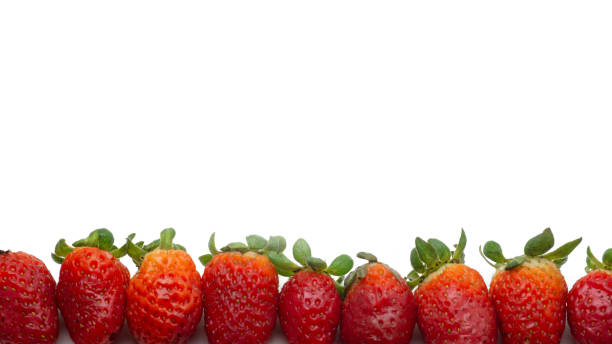 istock Row of fresh red strawberries with leaves and copy space for text 1323954563