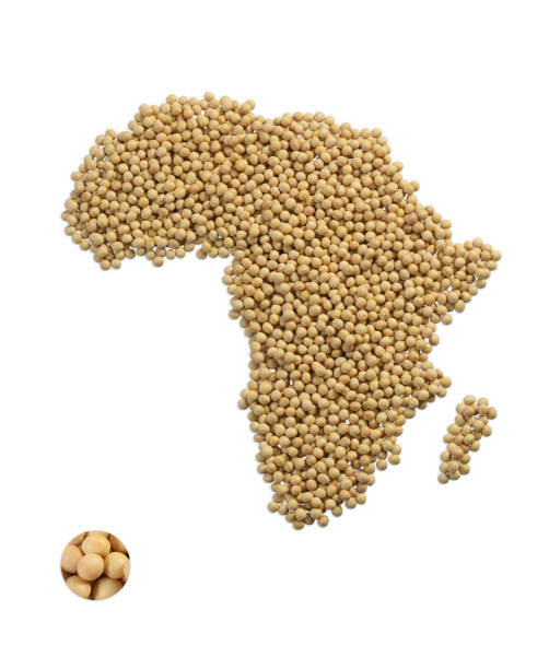 istock Image of map made of Soybean 1323958337