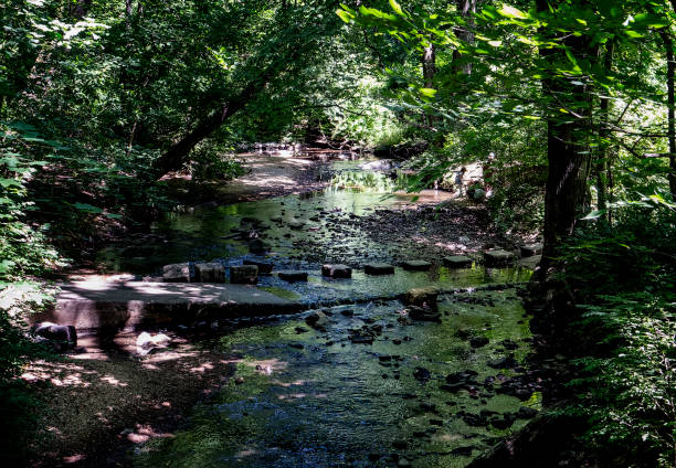 Stepping stones over a ford in the river