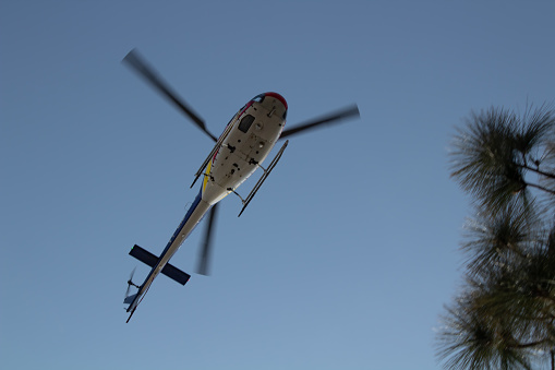 Low angle Zoom shot of a Chopper or Helicopter flying above the photograher with pine trees at one side and blue sky in the background.