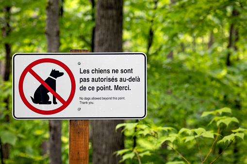 No Dogs Allowed Sign in Hiking Trail at Parc National du Mont-Orford, Quebec, Canada.