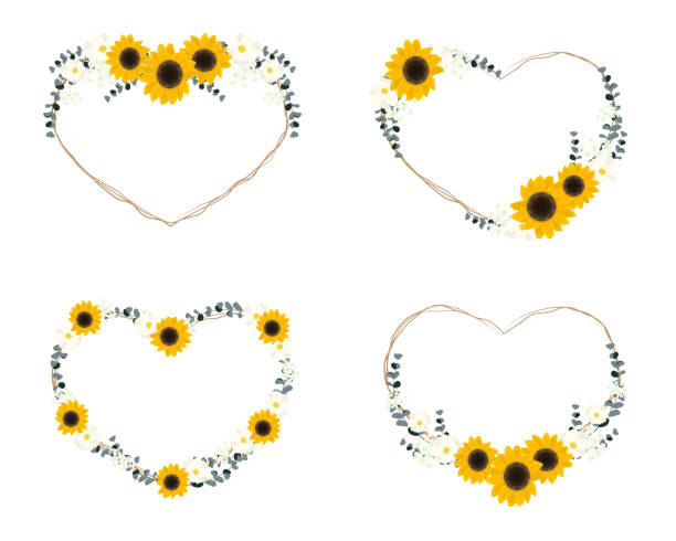 żółty słonecznik dziki kwiat i li�ść eukaliptusa na suchej gałązce bukiet serca wieniec rama kolekcja płaski styl - sunflower hearts stock illustrations