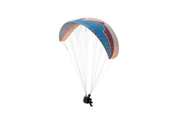 The sportsman flying on a paraglider. Beautiful paraglider in flight on isolated white background. The sportsman flying on a paraglider. Beautiful paraglider in flight on isolated white background. paragliding stock pictures, royalty-free photos & images