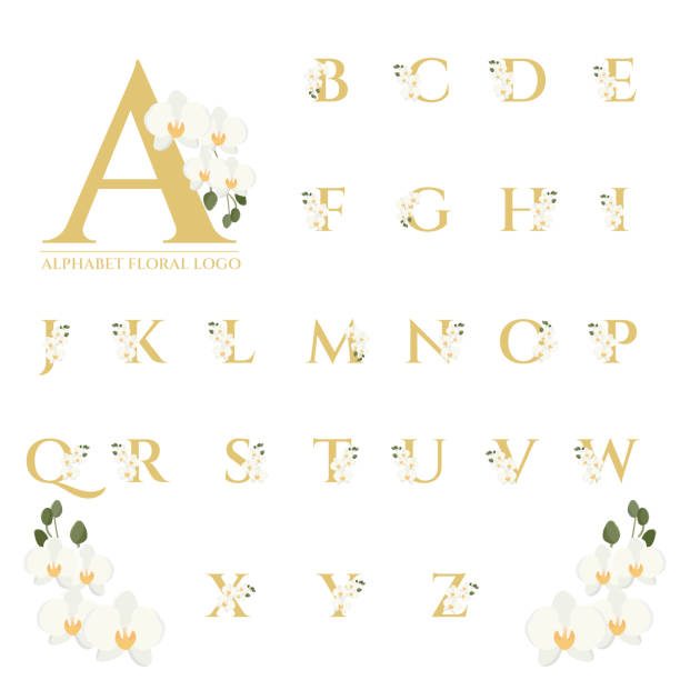 ilustrações de stock, clip art, desenhos animados e ícones de beautiful gold serif phalaenopsis orchid floral alphabet for logo collection - letter o watercolor painting calligraphy alphabet