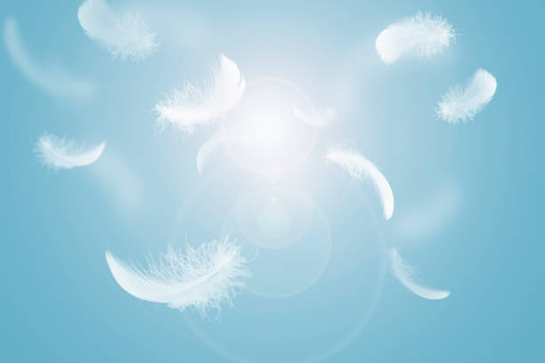 istock Group of Light White Feathers Floating in The Sky. 1323969734