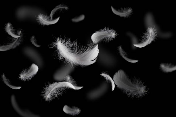 istock Group of Light White Feathers Falling Down in The Dark. 1323969737