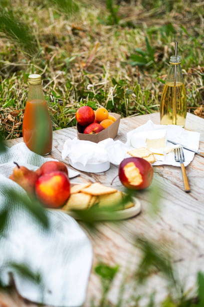 istock Summer picnic vacation. Summertime eco picnic setting, various fruits, cheese and drinks. Copy space, selective focus. 1323970387